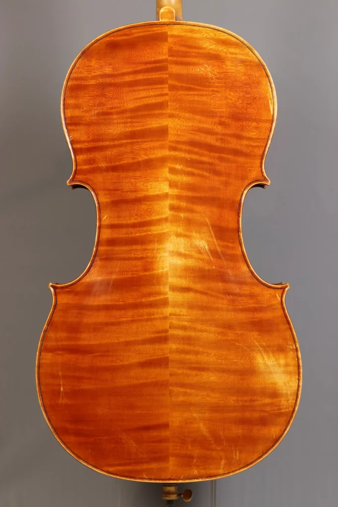 Violoncelle Frédéric Chaudière - Fond